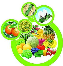 切開的哈密瓜產品工業圖片_切開的哈密瓜產品工業素材_切開的哈密瓜產品工業