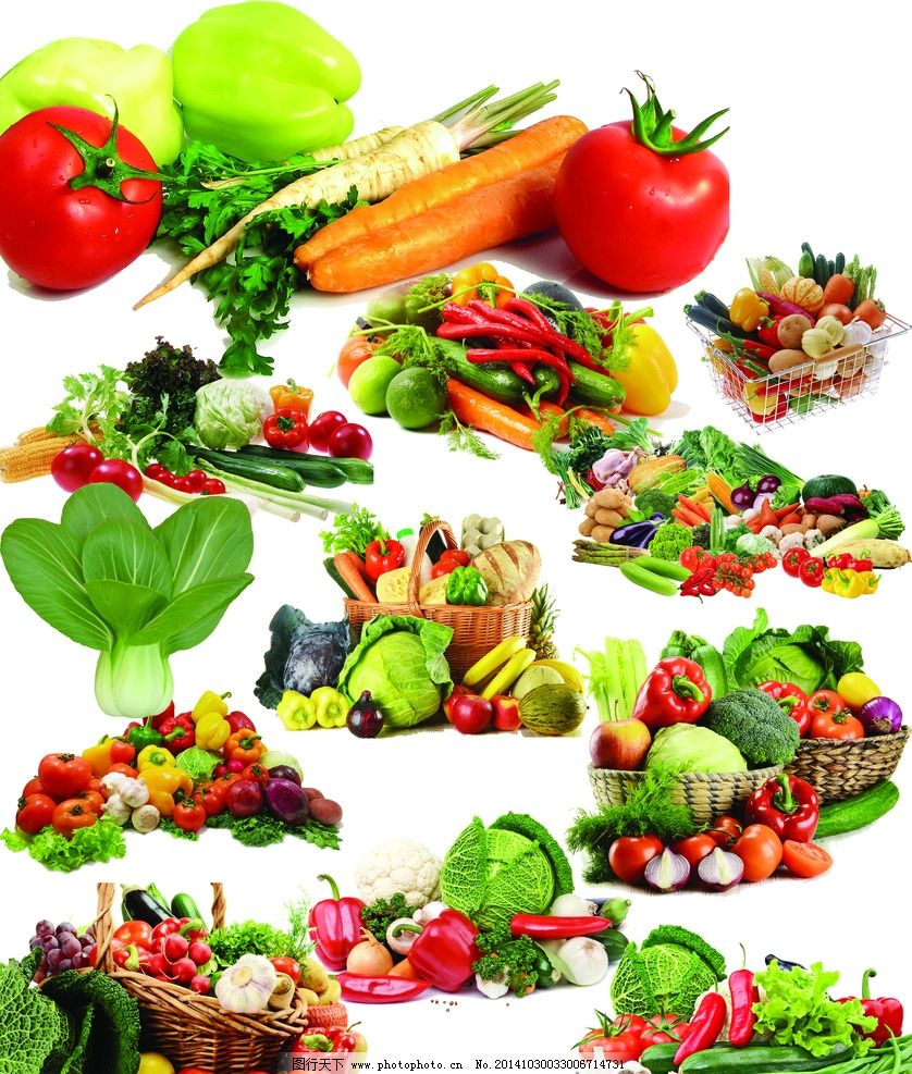 蔬菜堆的繽紛世界 自然與餐桌的紐帶