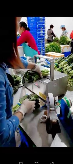 智能農(nóng)業(yè)革命 一臺設備如何讓這家工廠的蔬菜銷量翻番