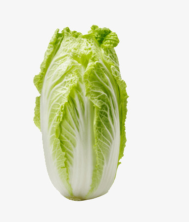 綠色餐桌的藝術(shù) 圖精靈免費(fèi)蔬菜圖片精選與創(chuàng)意應(yīng)用