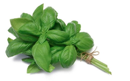 蔬菜大掃盲 認識我們餐桌上的綠色寶藏