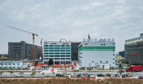 茶里集團南沙總部落成，推動高端袋泡茶標準化、工業(yè)化與科技化進程