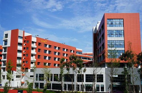 水泥纖維板氟碳漆保溫一體板 技術開發(fā)與四川生產(chǎn)廠家的行業(yè)領先實踐